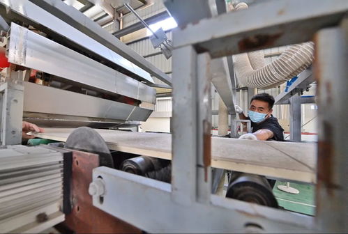 助力碳減排，我市首批8家建材企業(yè)獲評(píng)星級(jí)認(rèn)證